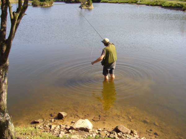 El Principado recoge en la normativa de pesca cupos de un salmón por pescador y día